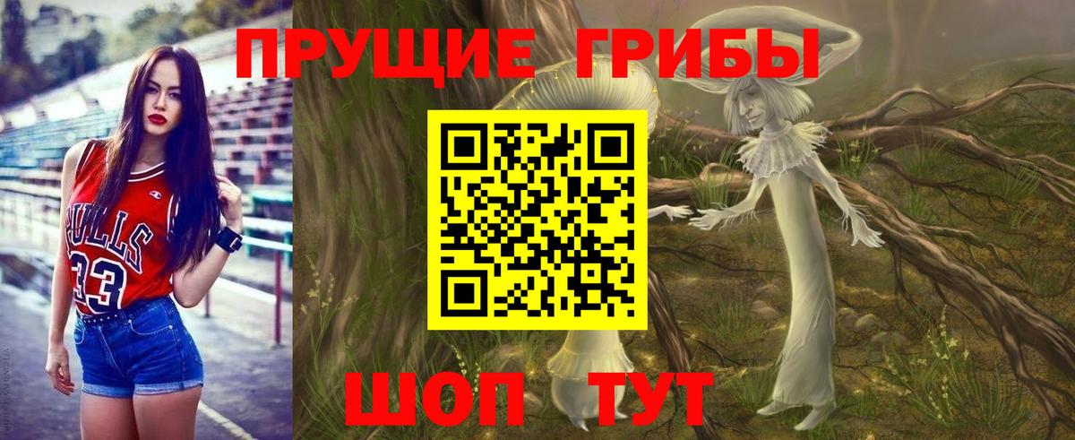 Псилоцибиновые грибы Cubensis Алапаевск