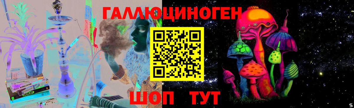 Алапаевск  Галлюциногенные грибы Psilocybe  Вход с VPN 